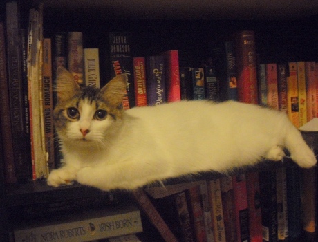 Kitty loves books.